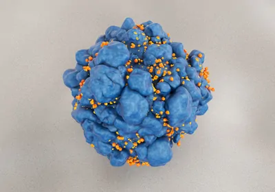 orange and blue cell image 